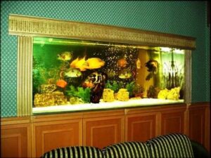 Формы аквариумов - встроенные