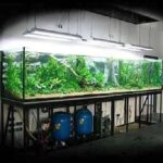 Оборудование для аквариума — 2 часть
