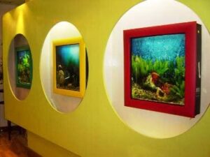 Формы аквариумов - картина