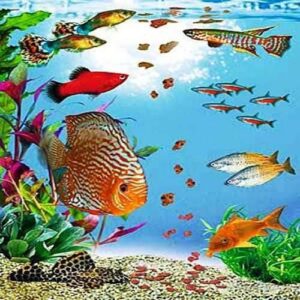 Питание аквариумных рыбок — 1 часть