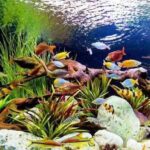 Боитесь неприятностей — заводите аквариум