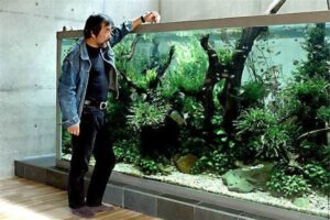 Такаши Амано и его аквариум, оформленный в природном стиле
