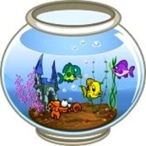 Круглый аквариум: особенности содержания