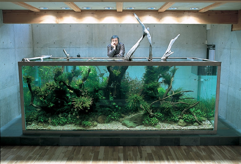 Большой аквариум Такаши Амано