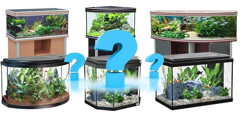 Выбор размера домашнего аквариума