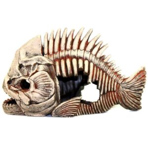Грот «Декси» Скелет рыбы №903