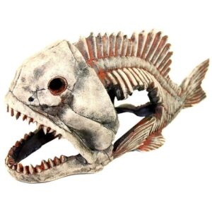 Грот «Декси» Скелет рыбы №904