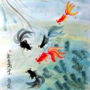 Золотая рыбка: от прудов времен династии Тан