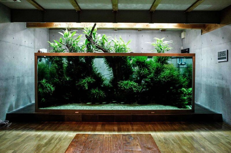 Дизайн аквариума: Такаши Амано - 4