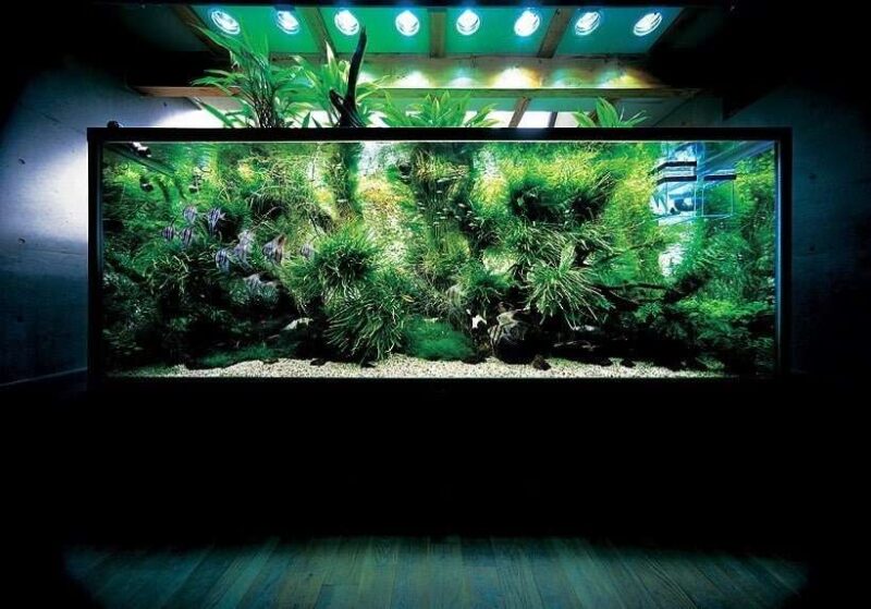 Дизайн аквариума: Такаши Амано - 2