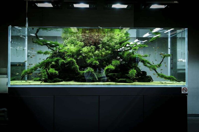 Дизайн аквариума: Такаши Амано - 6