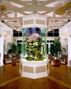 Круглый аквариум посреди комнаты