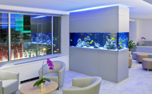 Современный аквариум в комнате отдыха