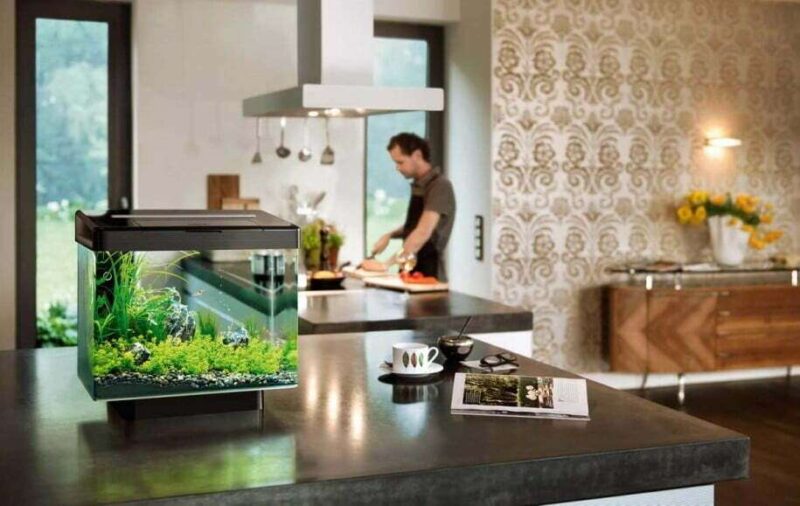 Нано-аквариум в интерьере современной кухни
